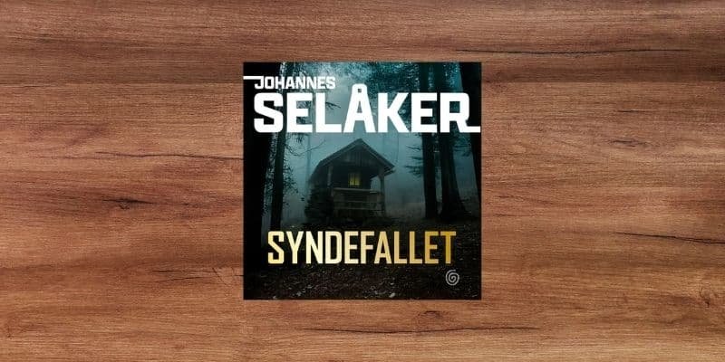 Syndefallet Lydbok
