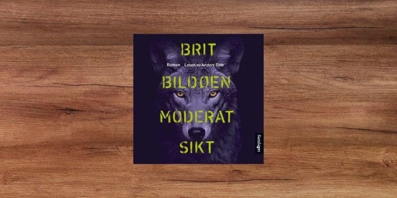 Moderat sikt Lydbok Moderat sikt Lydbok